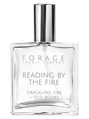 Reading by the Fire - خواندن در کنار آتش