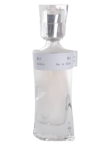 Gardenia 栀子花
