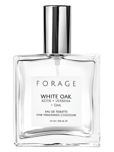 White Oak - بلوط وایت