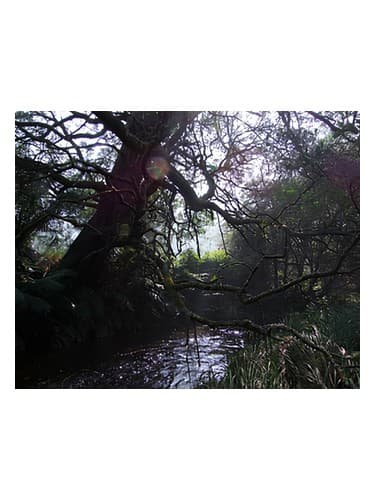 Naiad - نایاد