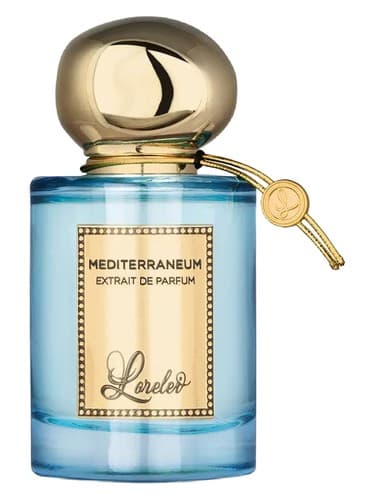Mediterraneum - مدیترانه