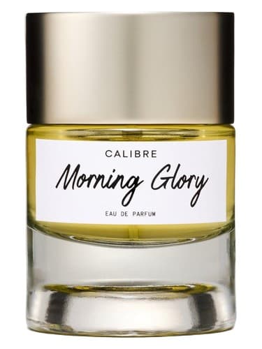 Morning Glory - جلال صبح