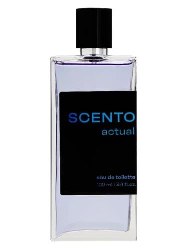 SCENTO Actual - SCENTO واقعی