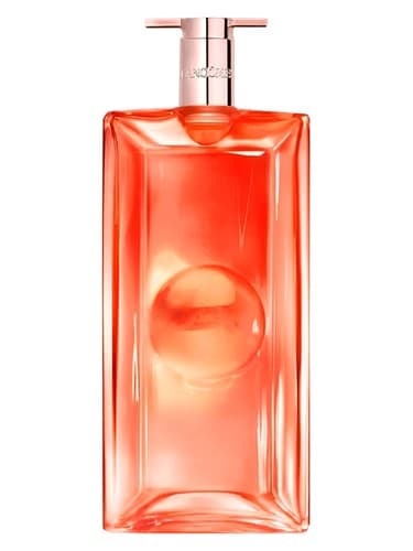 Idôle Peach ‘N Roses 