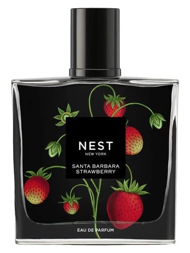 Santa Barbara Strawberry - استرابری سانتا باربارا