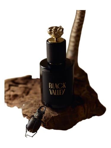 Black Valley - دره بلک
