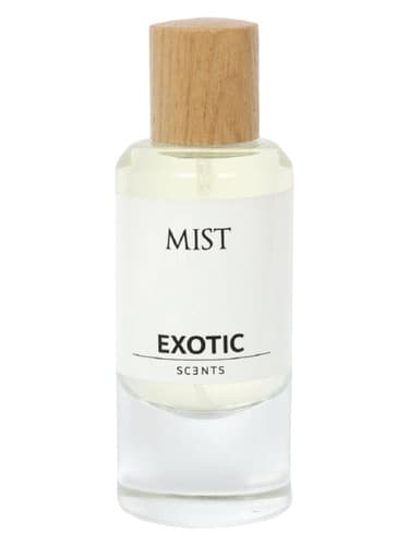 Mist - مه