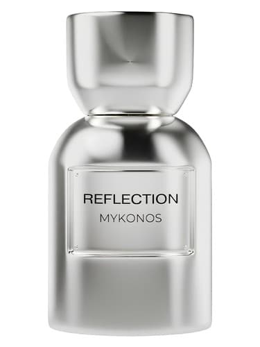 Reflection - انعکاس
