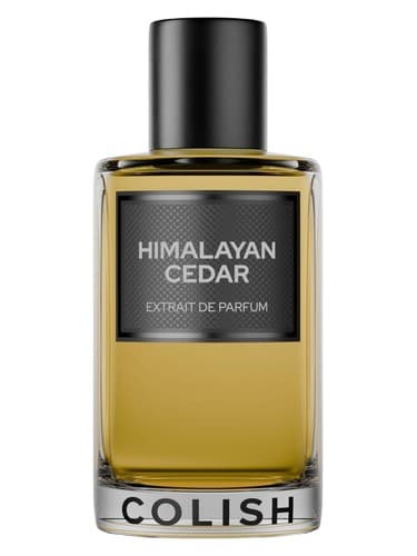 Himalayan Cedar Extrait de Parfum - سدر هیمالیا Extrait de Parfum