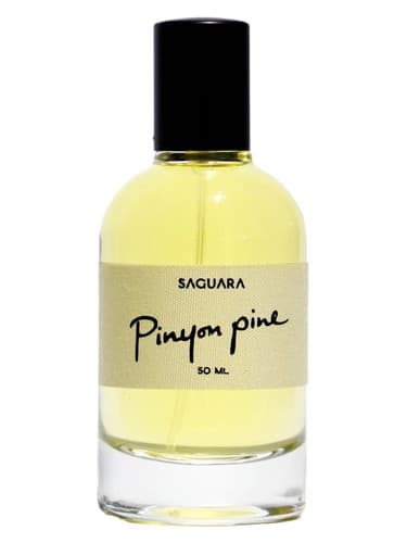Pinyon Pine - کاج پینیون