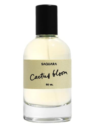 Cactus Bloom - شکوفه کاکتوس