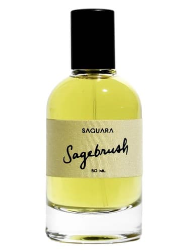 Sagebrush - خاکشیر