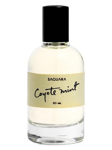 Coyote Mint - نعناع کایوت