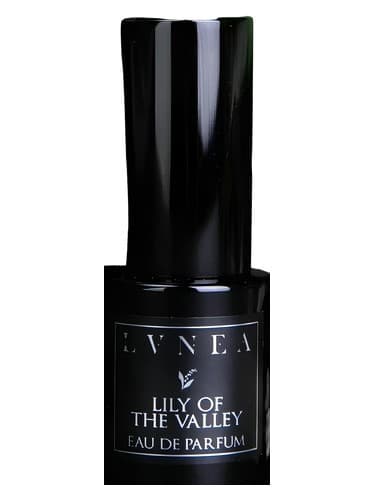 Lily of the Valley