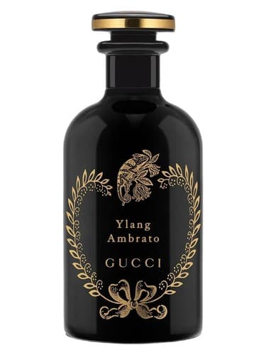 Ylang Ambrato - یلانگ آمبراتو