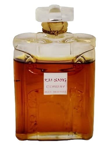Kai-Sang - کای سانگ
