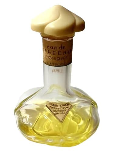 Gardenia de Corday - گاردنیا د کوردی