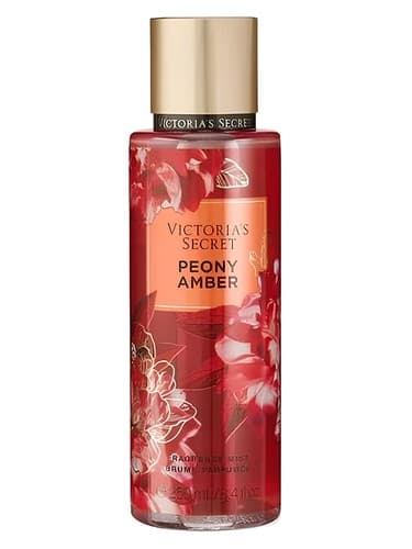 Peony Amber - گل صد تومانی امبر