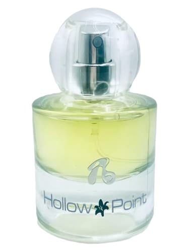 HOLLOW POINT - نقطه توخالی