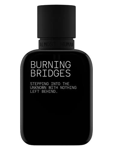 Burning Bridges - سوختن پل ها