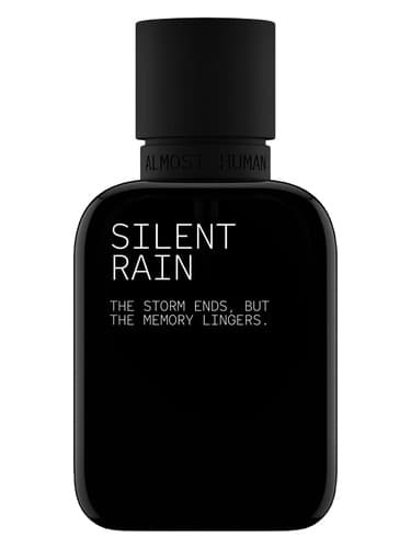 Silent Rain - باران خاموش