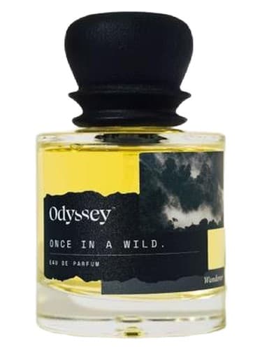Once In A Wild - یک بار در یک وایلد