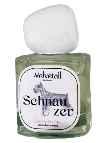 Schnauzer - اشناوزر