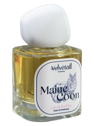 Maine Coon - مین کون