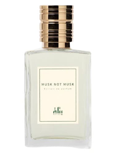 Musk Not Musk - مشک نه مشک