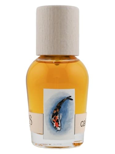 Calico Koi - کالیکو کوی