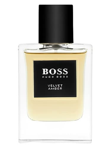 BOSS The Collection Velvet & Amber 