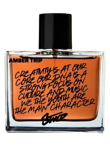 Amber Trip - سفر امبر