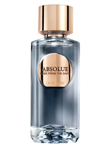 Absolue Rose From The Dark - رز مطلق از تاریکی