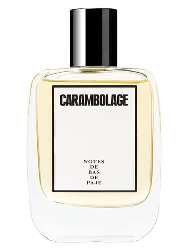 Carambolage
