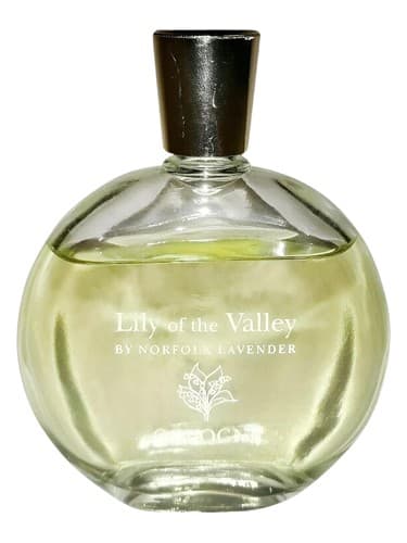Lily of the Valley - زنبق دره