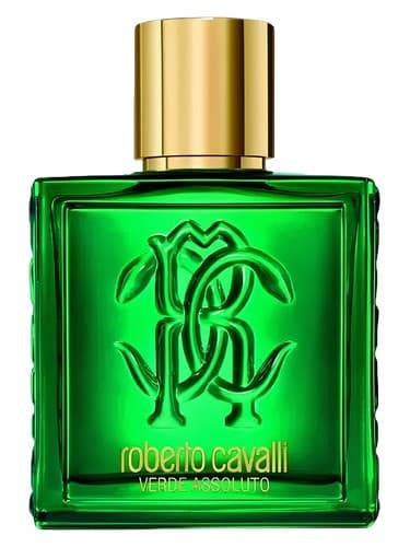 Roberto Cavalli Uomo Verde Assoluto - روبرتو کاوالی Uomo Verde Assoluto