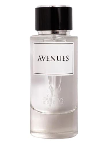 Avenues - خیابان ها