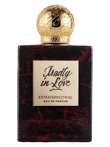 Madly in Love - دیوانه وار عاشق
