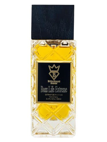 Boss Life Extreme - رئیس زندگی افراطی