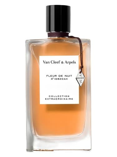 Fleur de Nuit