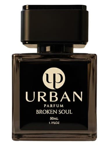 Broken Soul - روح شکسته