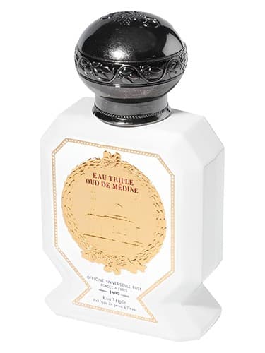 Oud de Médine