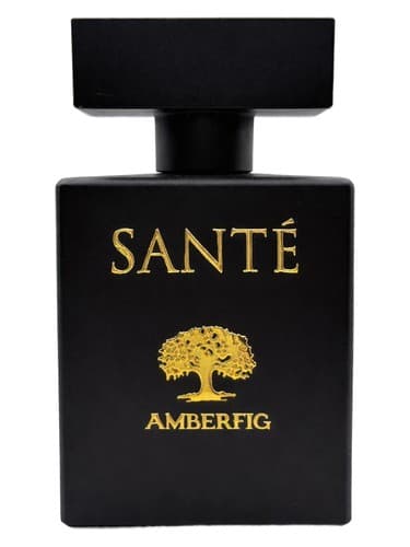 Santé - سانته