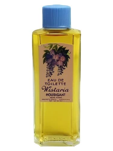 Wistaria