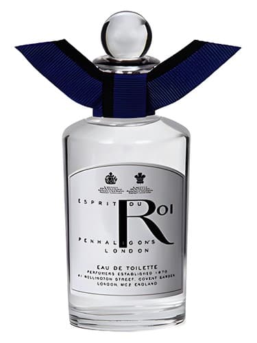 Esprit du Roi