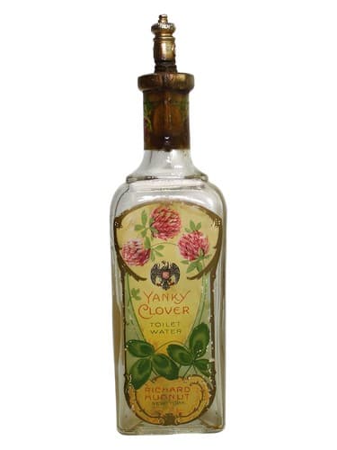 Yanky Clover - شبدر یانکی