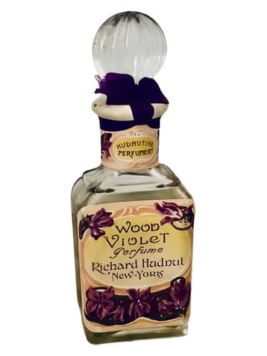 Wood Violet