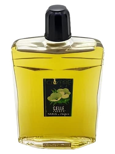 Chypre Cologne