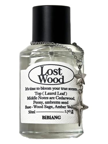 Lost Wood - وود گمشده