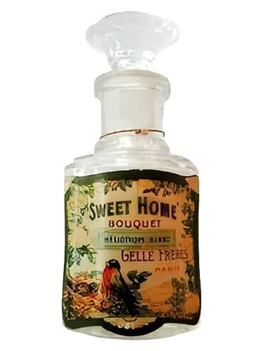 Sweet Home Bouquet Héliotrope Blanc